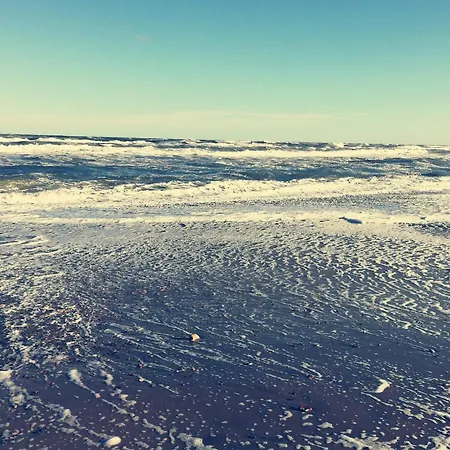 Vakantiehuis 14 Person In